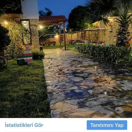 Daidalos 2*