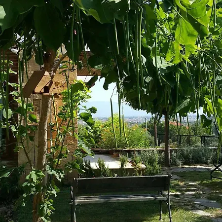 Otel Daidalos